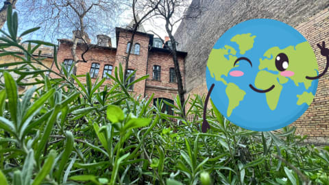 Családi délután // A Föld napja a múzeumban